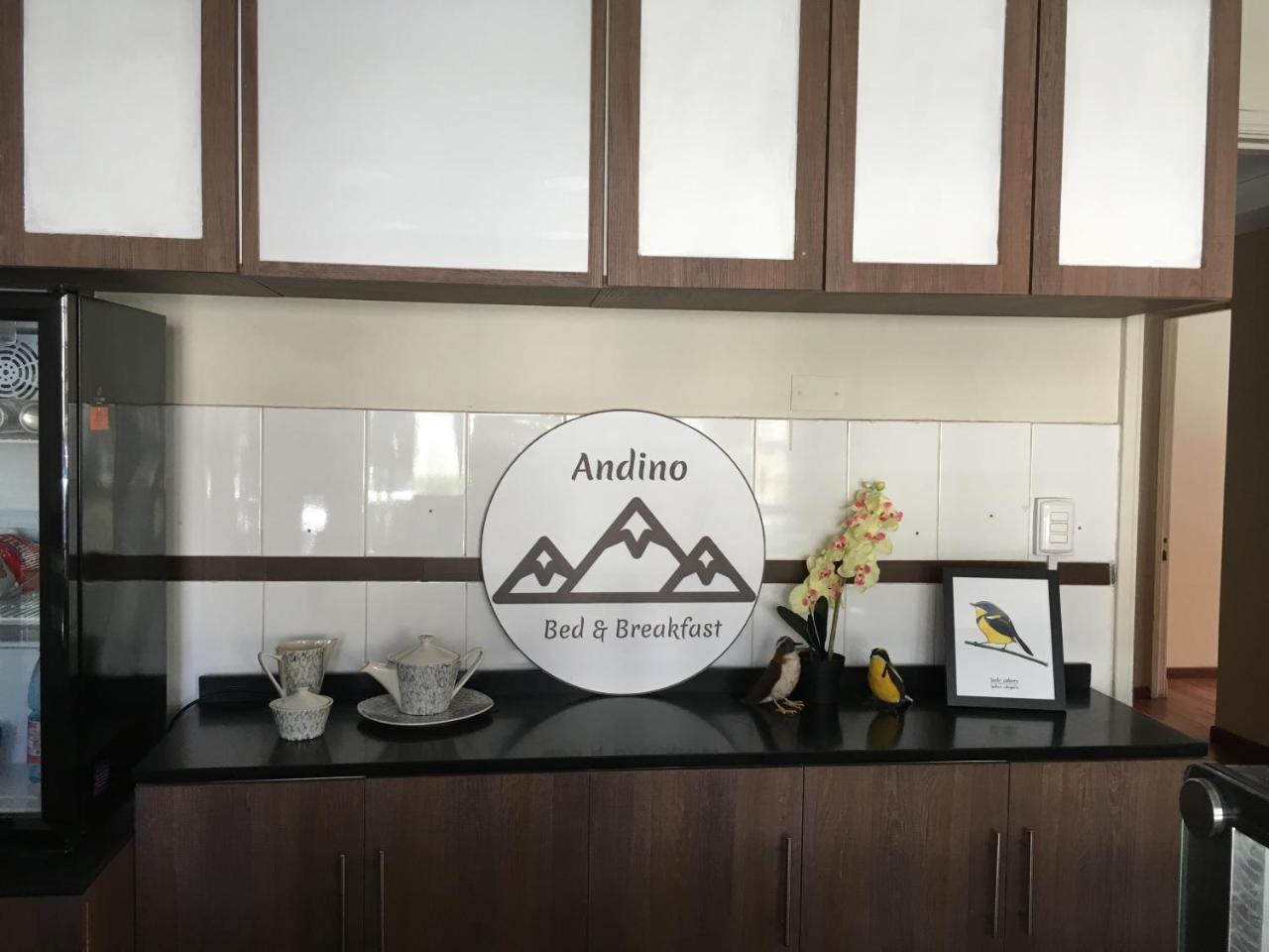 Andino Bed & Breakfast 圣地亚哥 外观 照片